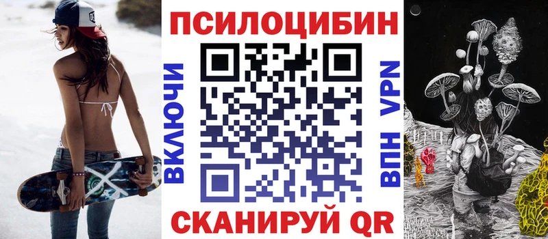 что такое Тырныауз Псилоцибиновые грибы MAGIC MUSHROOMS